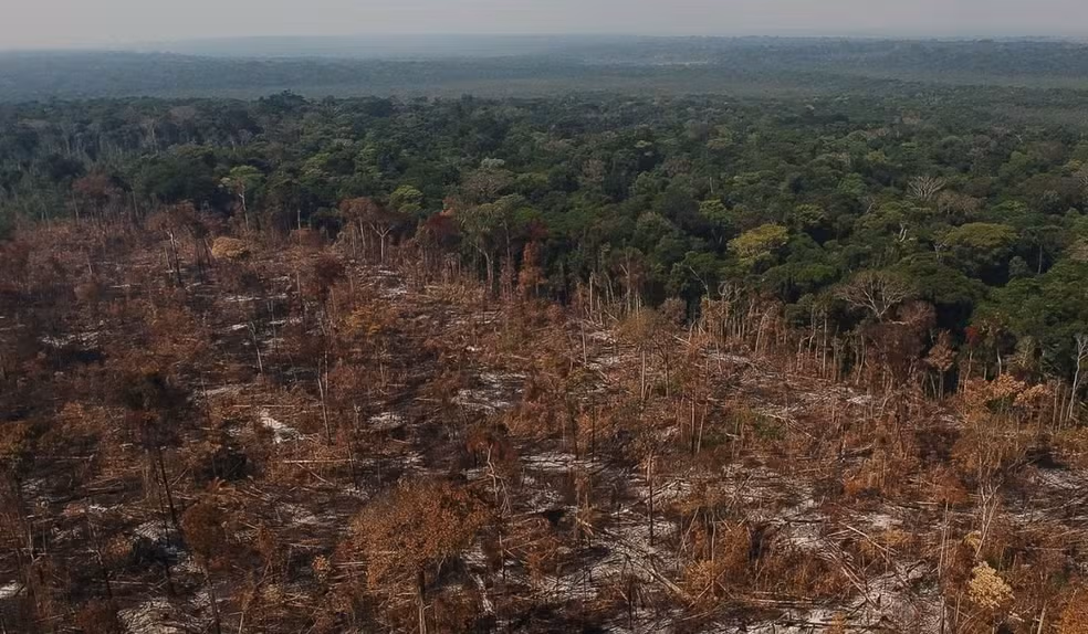Desmatamento no Brasil cai e atinge menor marca em seis anos, aponta MapBiomas